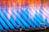 Alvanley gas fired boilers